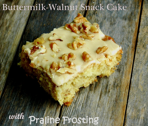 ButtermilkWalnut Snack Cake with Praline Frosting Breakfast or dessert