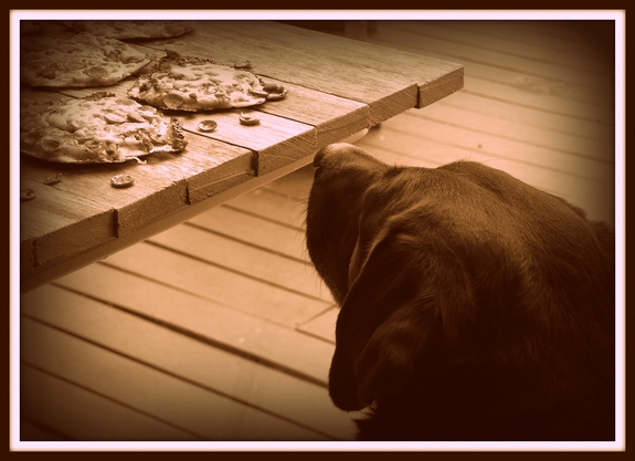 Sadie Photography Assistant