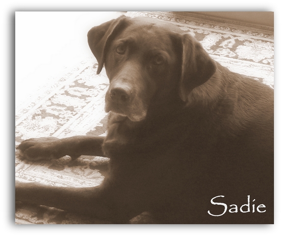 Sadie Sue
