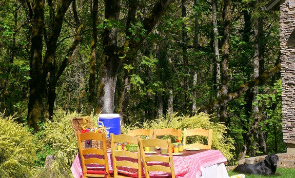 Buffalo Bleu Chicken Salad Sandwiches picnic