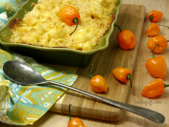 Cheesy Habanero Cauliflower Bake perfect comfort food side dish