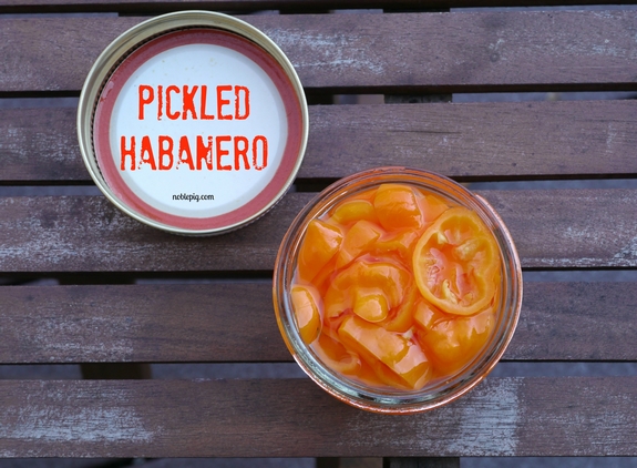 Pickled Habanero Deviled Egg Spread on Cheesy Toast jar