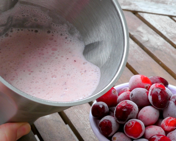 Cranberry Vanilla Cinnamon Smoothie travel smoothie