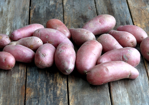 Cheesy Crushed Rosemary Potato Coins red potatoes