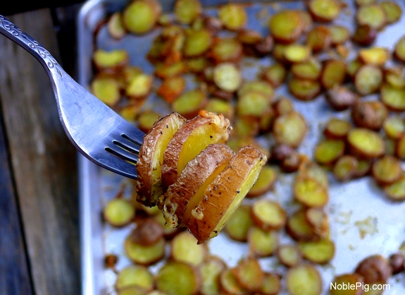 Cheesy Crushed Rosemary Potato Coins take a bite