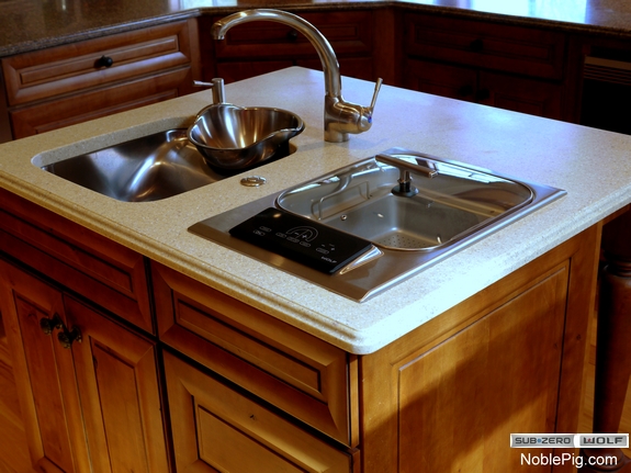Noble Pig SubZero Steamer 10