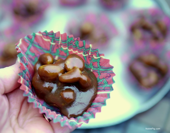 Kahlua Cashew Pralines Noble Pig c