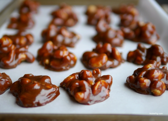 Kahlua Cashew Pralines Noble Pig