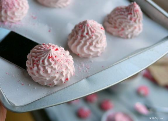 Peppermint Bark Hot Chocolate with Frozen Peppermint Whipped Cream Noble Pig cream