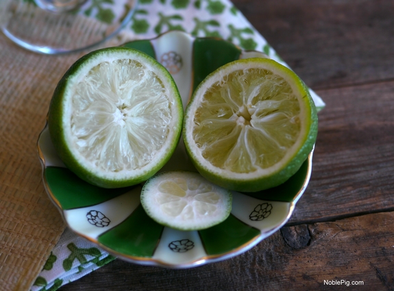 Coconut Lime Frozen Margaritas squeezed lime 