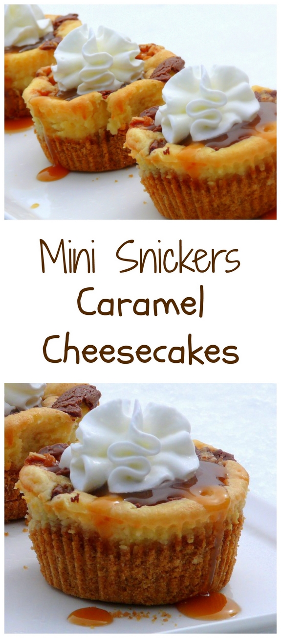 Mini Snickers Caramel Cheesecakes make a double batch they will disappear 