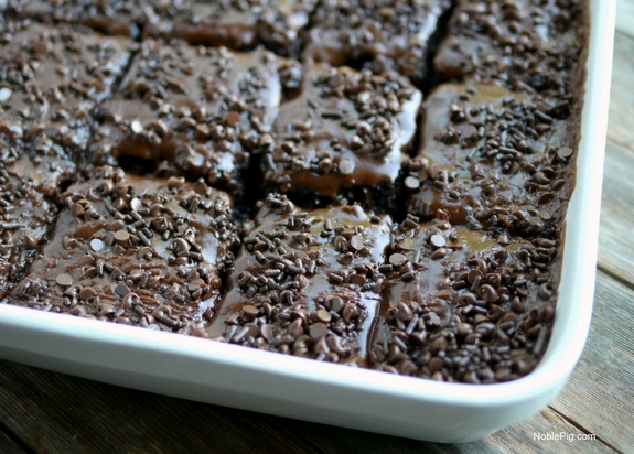 Gooey Rootbeer Chocolate Chip Cake the best chocolate cake ever