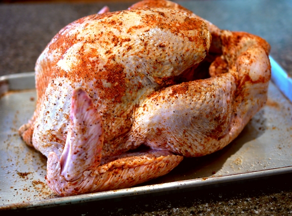 Juicy Smoked Paprika Turkey seasoned turkey