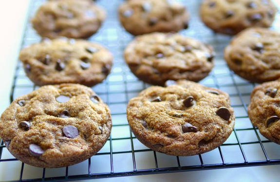 Soft Baked Pumpkin Molassas Chocolate Chip and rolled in cinnamon sugar