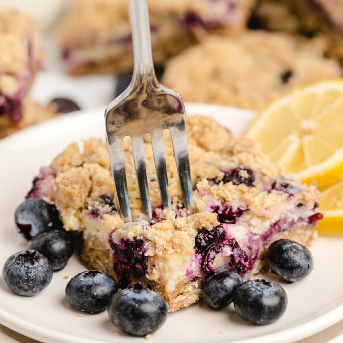 Blueberry Streusel Bars are ready to eat. blueberry streusel bars with lemon-cream filling