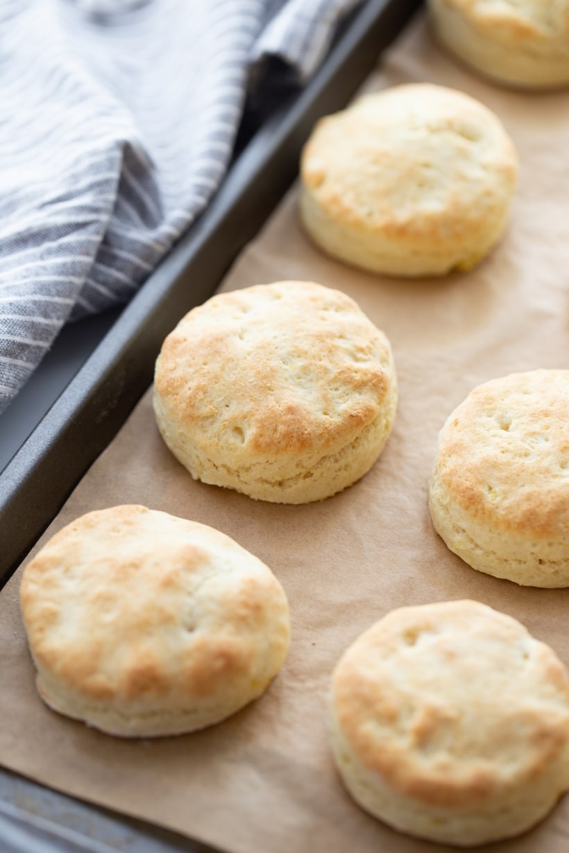 no yeast biscuits
