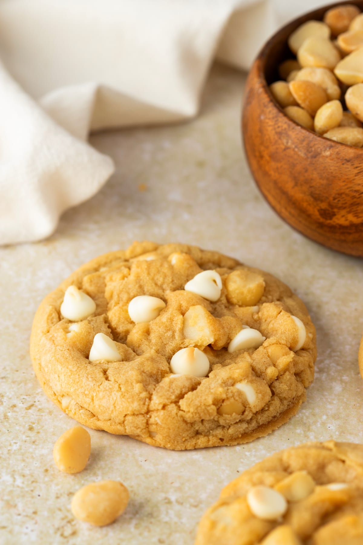 Soft White Chocolate Macadamia Cookie soft white chocolate macadamia cookie with white chocolate chips and macadamia nuts on top