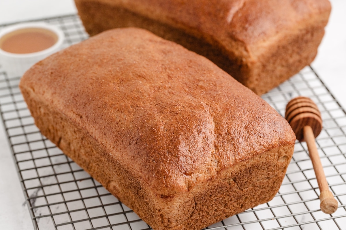 loves of whole wheat bread homemade