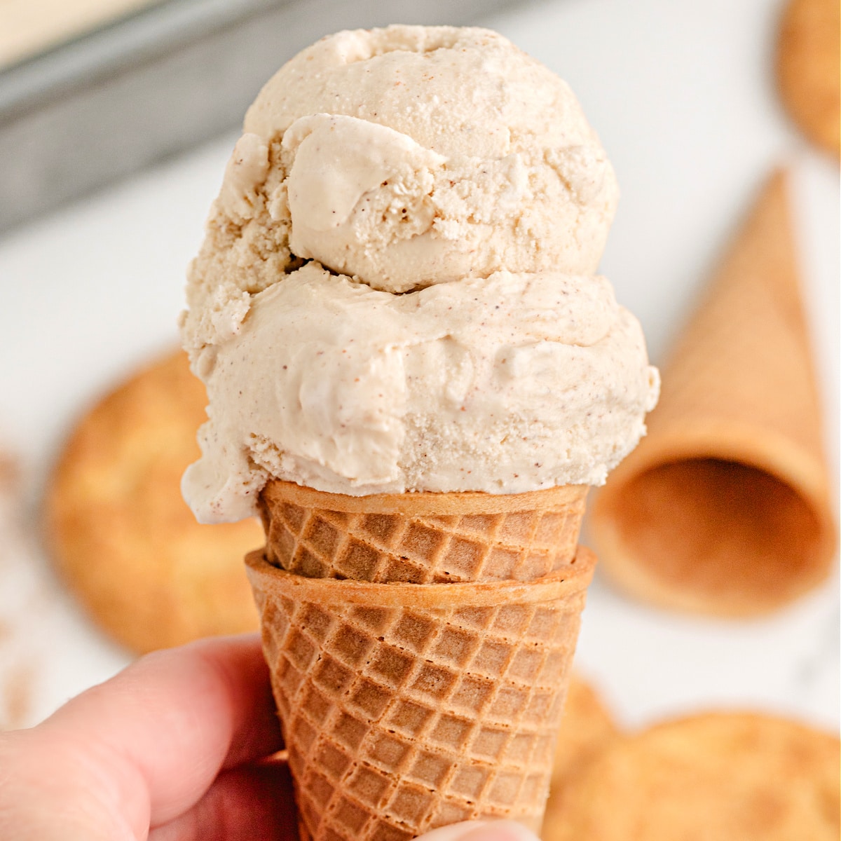 Snickerdoodle Ice Cream