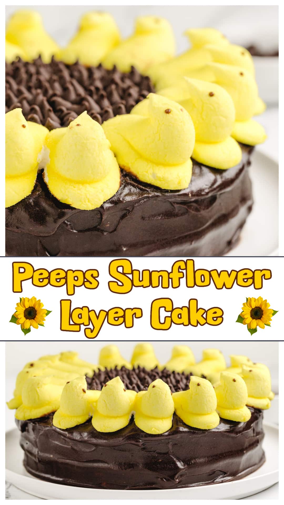 This Peeps Sunflower Layer Cake is a fun and festive Easter dessert made with my favorite yellow cake recipe, rich chocolate frosting, and a simple sunflower-style topping. The Peeps chicks create the petals and chocolate chips fill the center for a playful look that’s easy to put together. Great for spring celebrations, it’s as delicious as it is eye-catching. Make it ahead or enjoy it fresh for a sweet holiday treat. via @cmpollak1