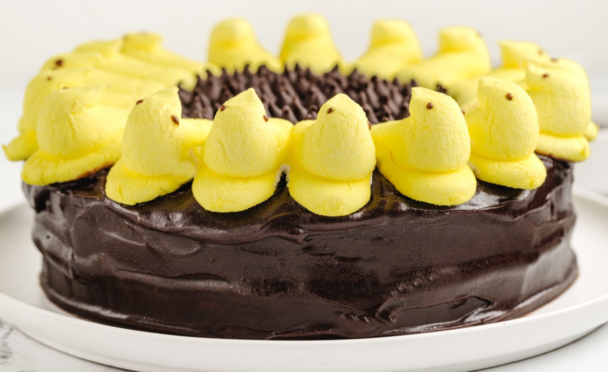 Side view of the fully assembled Peeps Sunflower Layer Cake with marshmallow chicks around the outside and chocolate chips in the center.