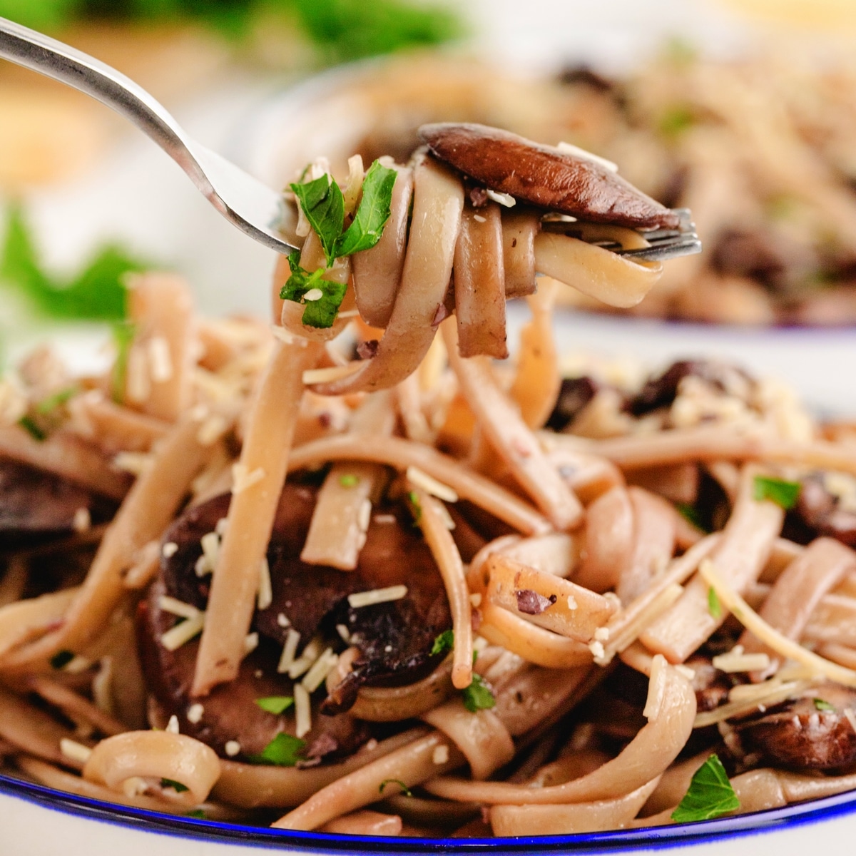 Creamy Mushroom Fettuccine