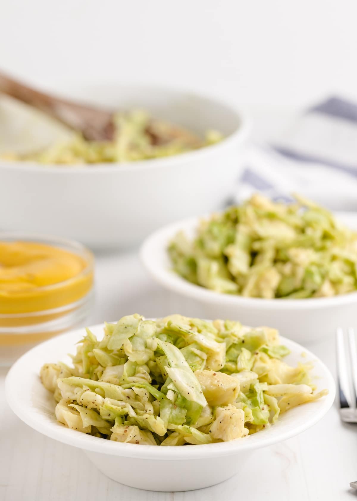 coleslaw with mustard