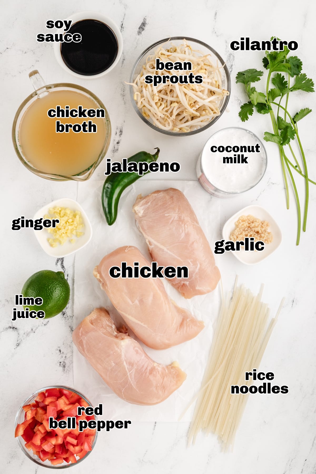 Slow Cooker Thai Chicken Noodle Soup ingredients soup ingredients like coconut milk, chicken, bean spouts and jalapeno