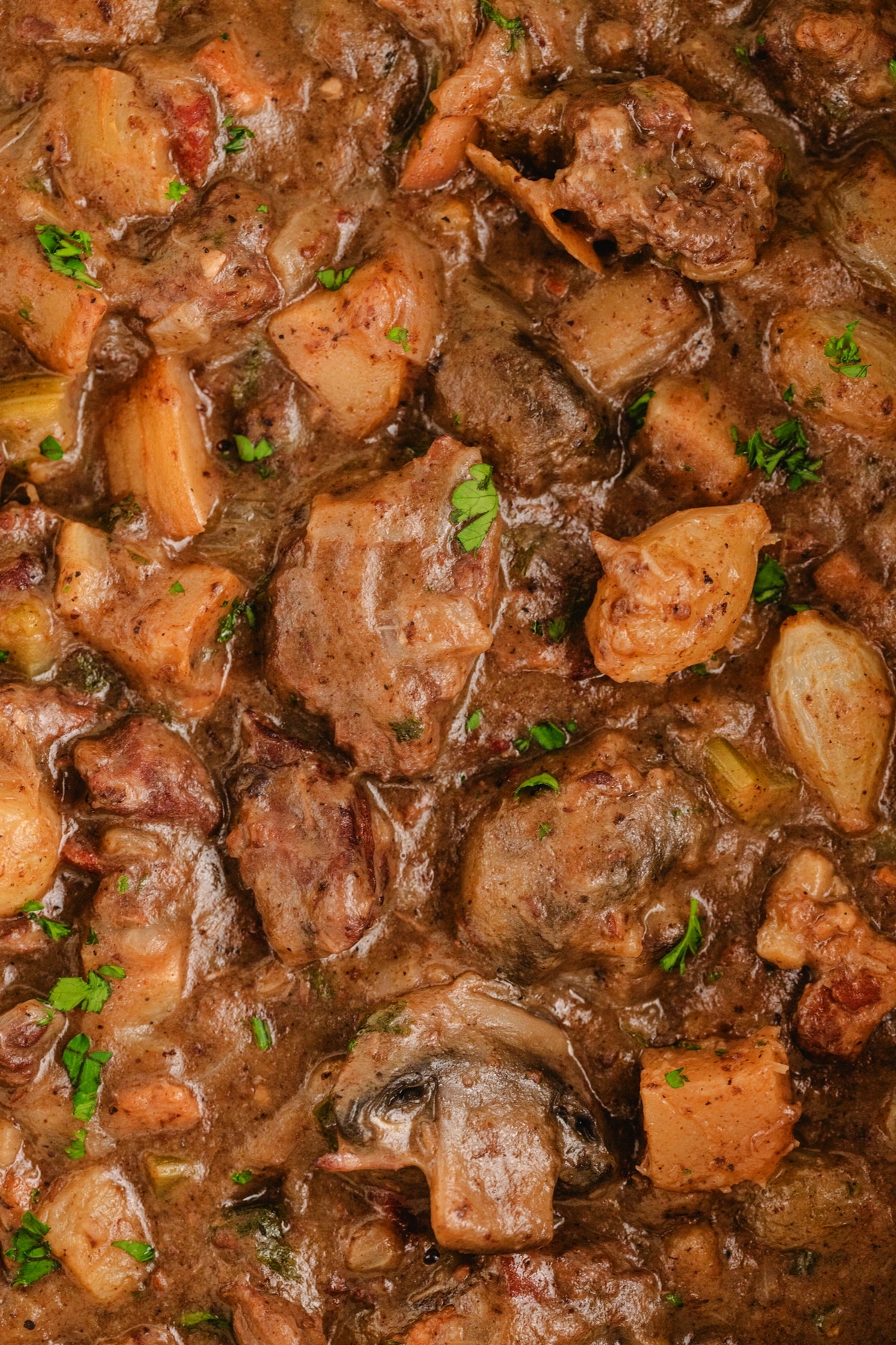 Beef Bourguignon close-up view close up Beef French stew