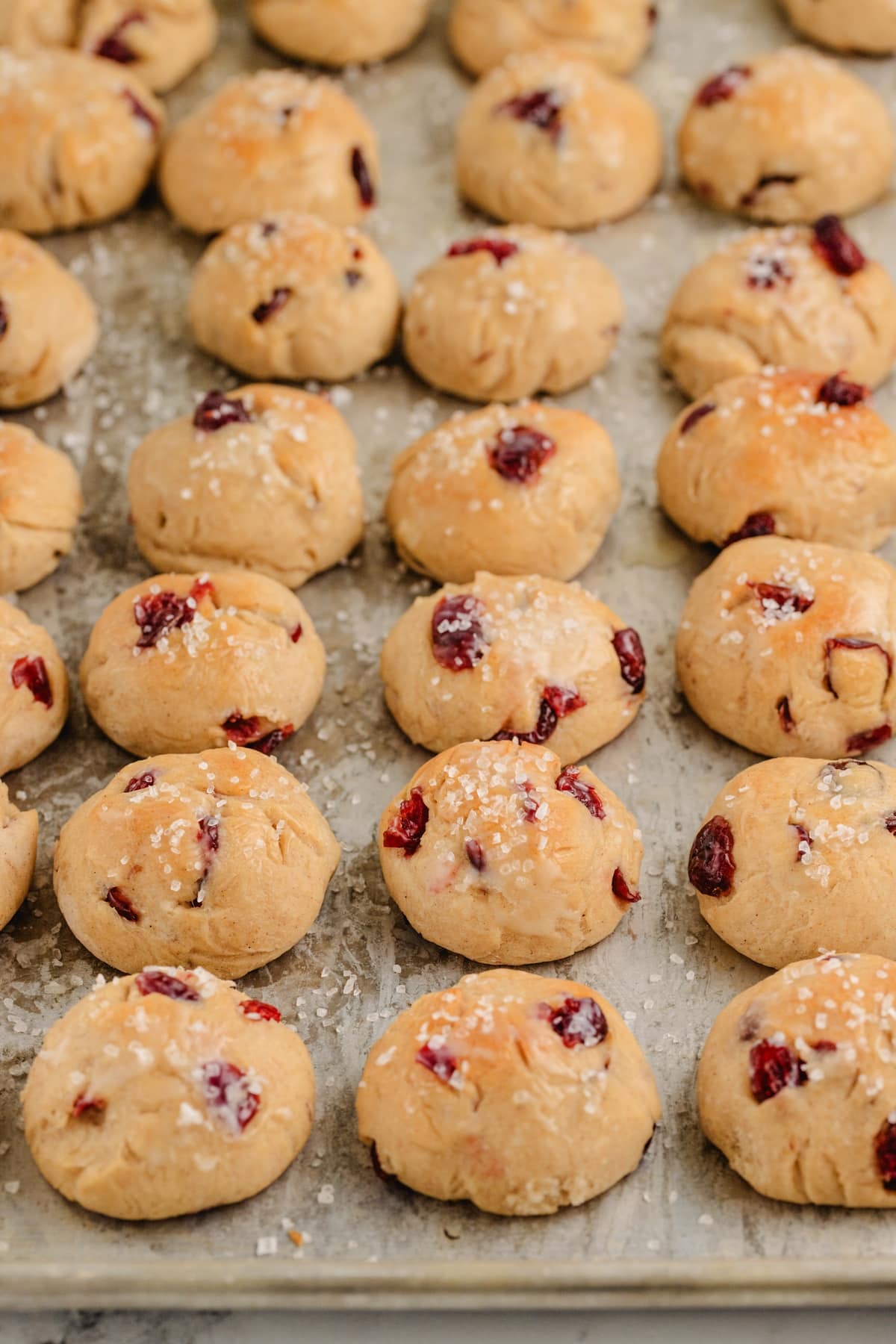 Freshly baked cinnamon-cranberry dinner rolls. Close-up of cinnamon-cranberry dinner rolls fresh out of the oven on a baking tray.