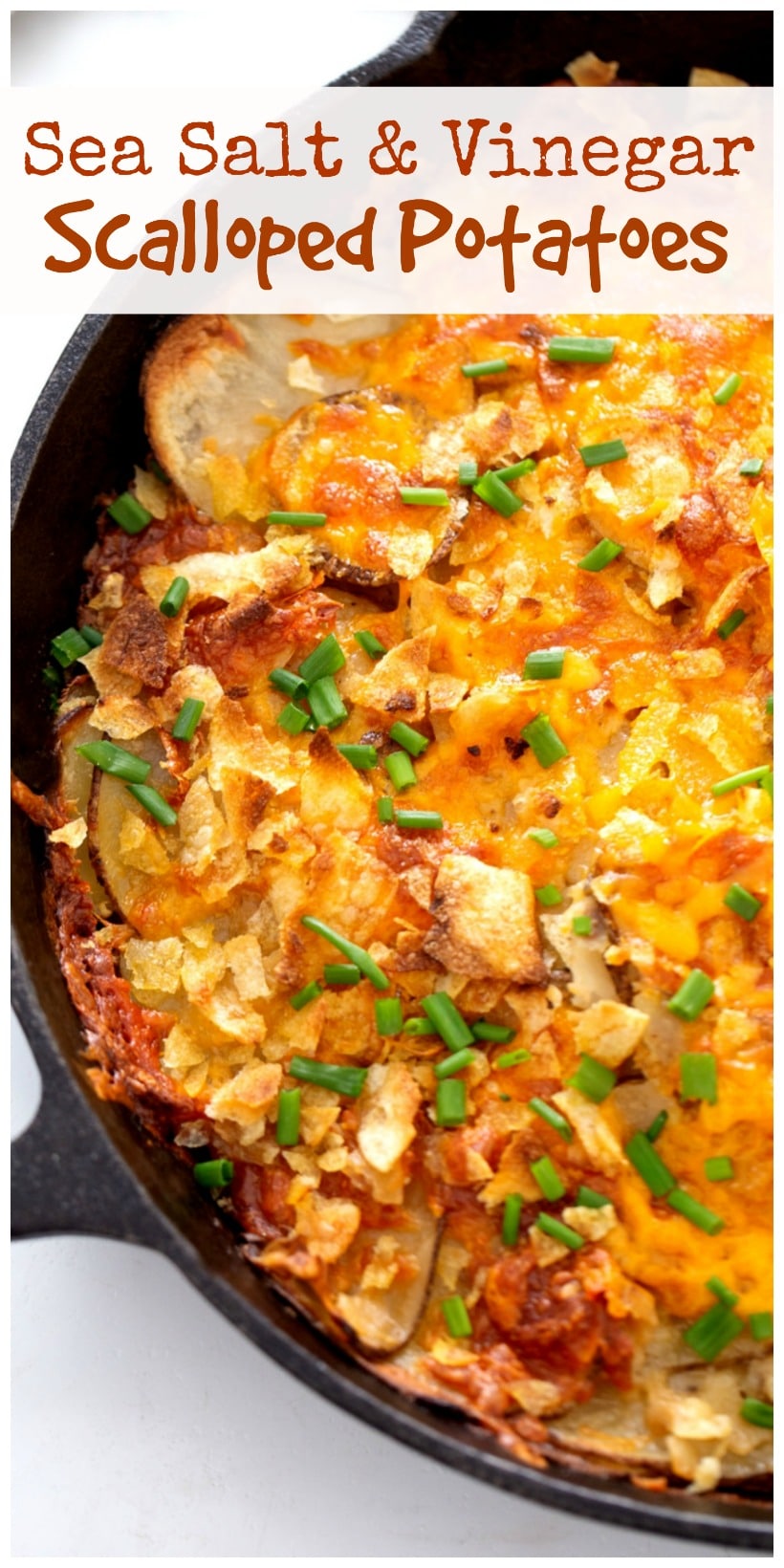 the best scalloped potatoes