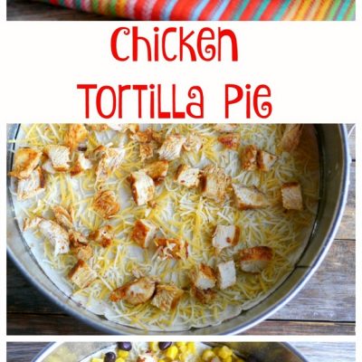Quick Chicken Tortilla Pie made in layers in a Springform Pan from NoblePig.com.