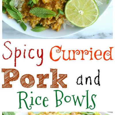 Spicy Curried Pork and Rice Bowls