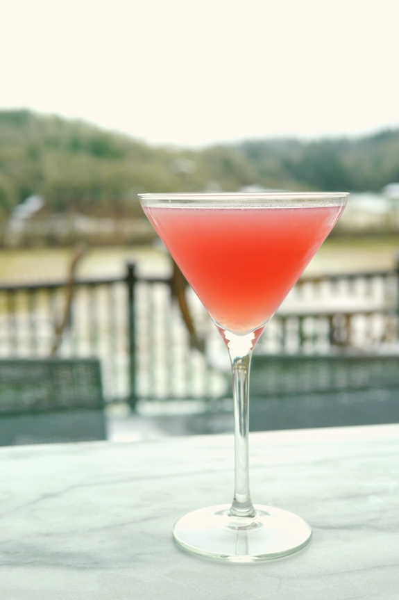 Grapefruit Cranberry Martini from NoblePig.com.