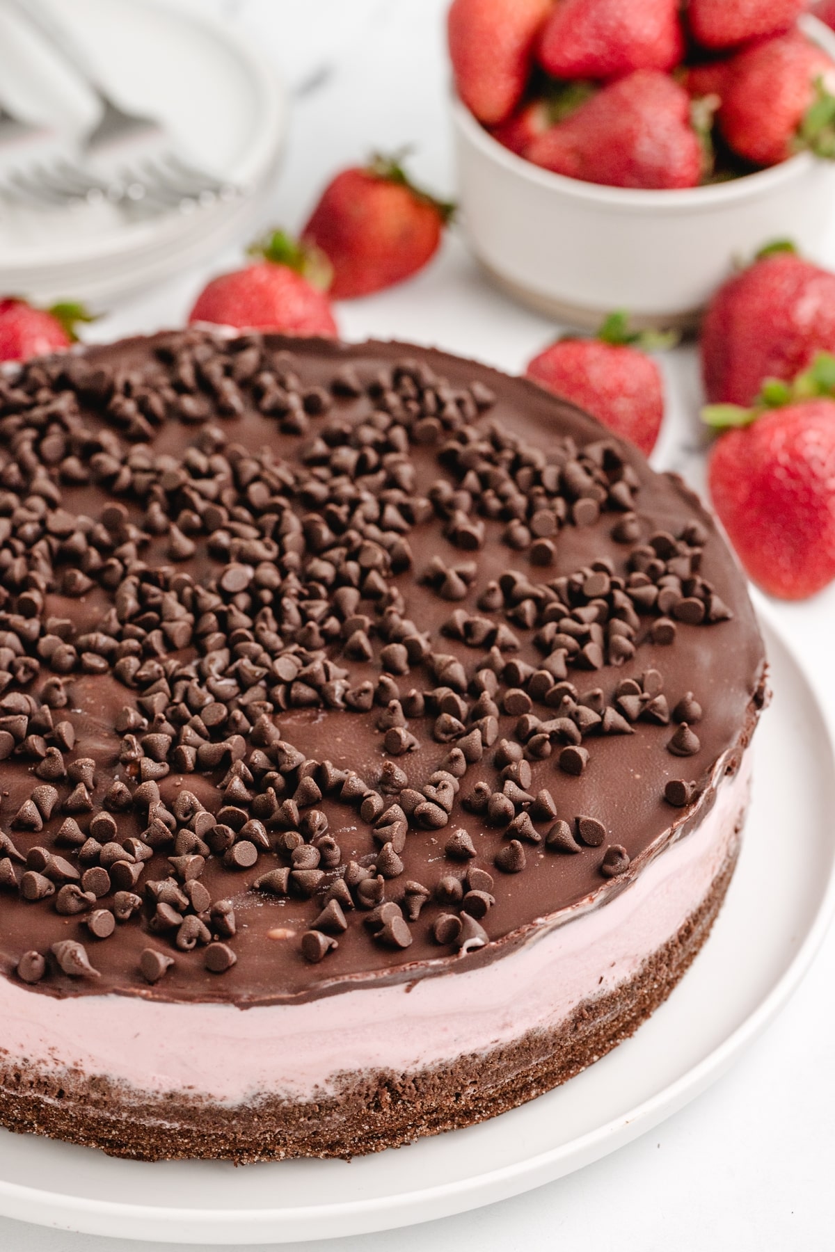 Strawberry Chocolate Chip Ice Cream Cake whole A fully assembled and frozen strawberry chocolate chip ice cream cake on a serving plate, topped with a smooth layer of chocolate ganache and sprinkled with mini chocolate chips.