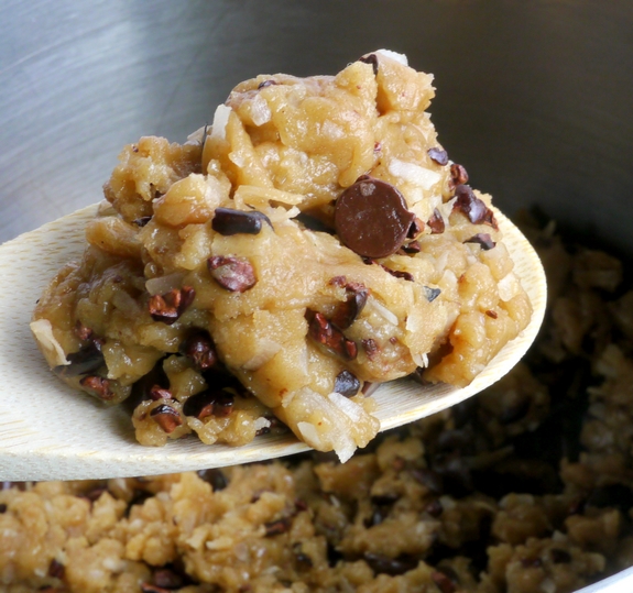 Tropical Chocolate Chip Cookies with Coconut Oil from NoblePig.com