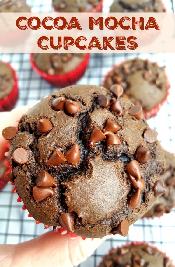 Cocoa Mocha Cupcakes 