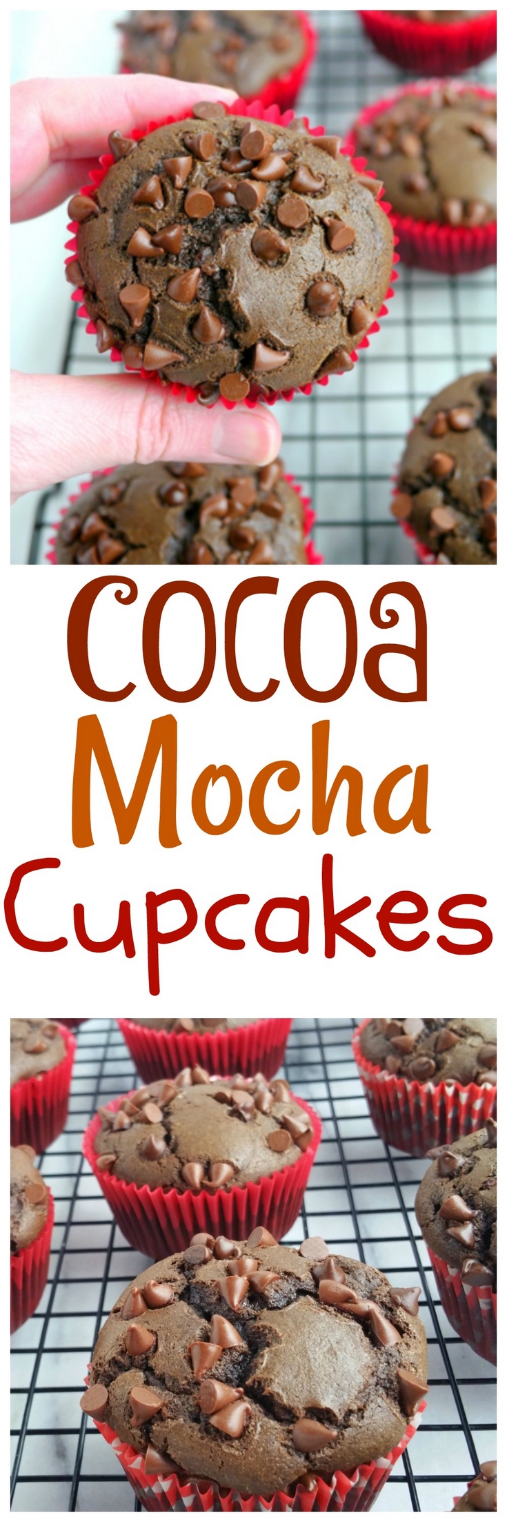 These Cocoa Mocha Cupcakes have a grown-up edge. No one will miss the frosting on this deliciously rich tasting dessert, from NoblePig.com. via @cmpollak1