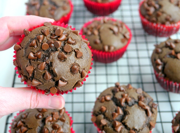 Cocoa Mocha Cupcakes 