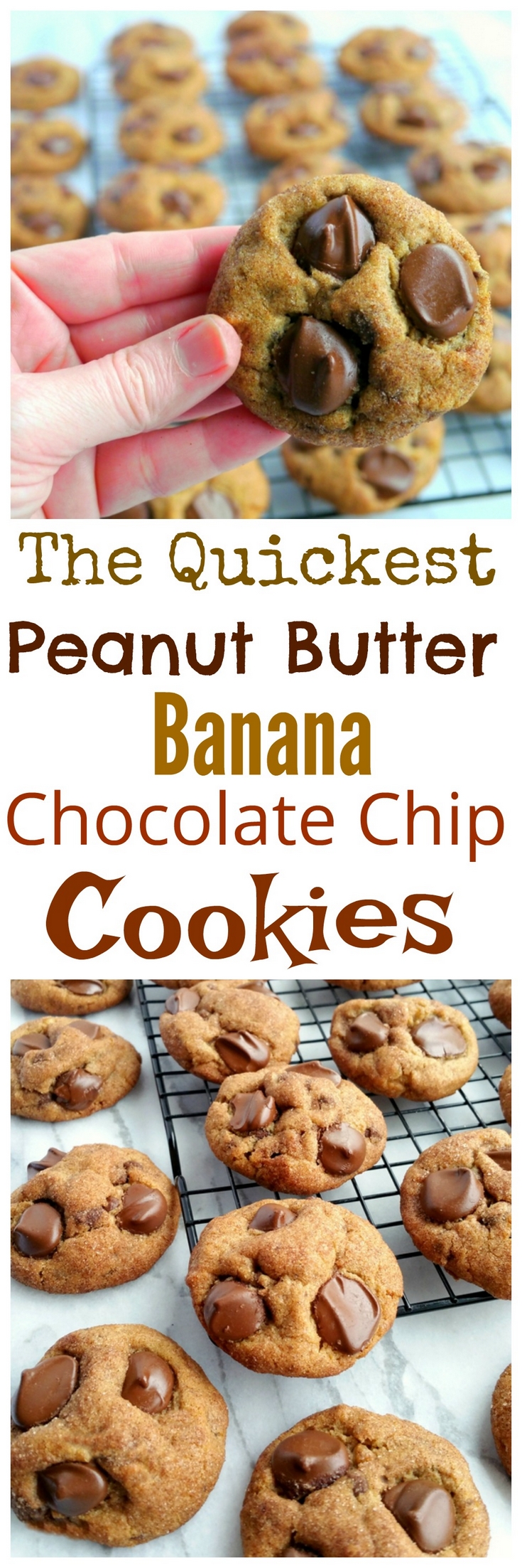 Just when you thought you needed to spend all day making cookies, it turns out you don't! These Quickest Peanut Butter-Banana-Chocolate Chip Cookies are everyone's favorite and they take only minutes to put together. via @cmpollak1