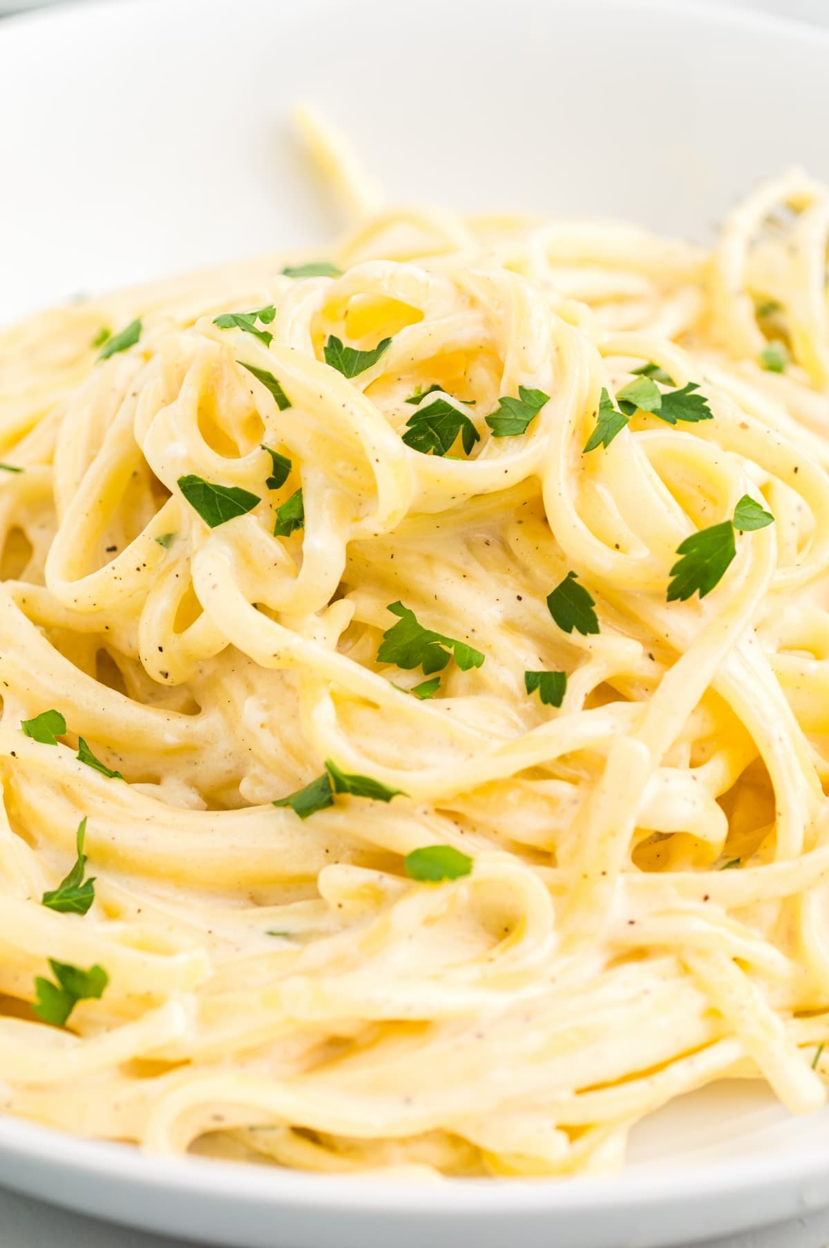 Fettuccine alfredo garnished with parsley. Close-up of a plate of fettuccine alfredo garnished with fresh parsley.