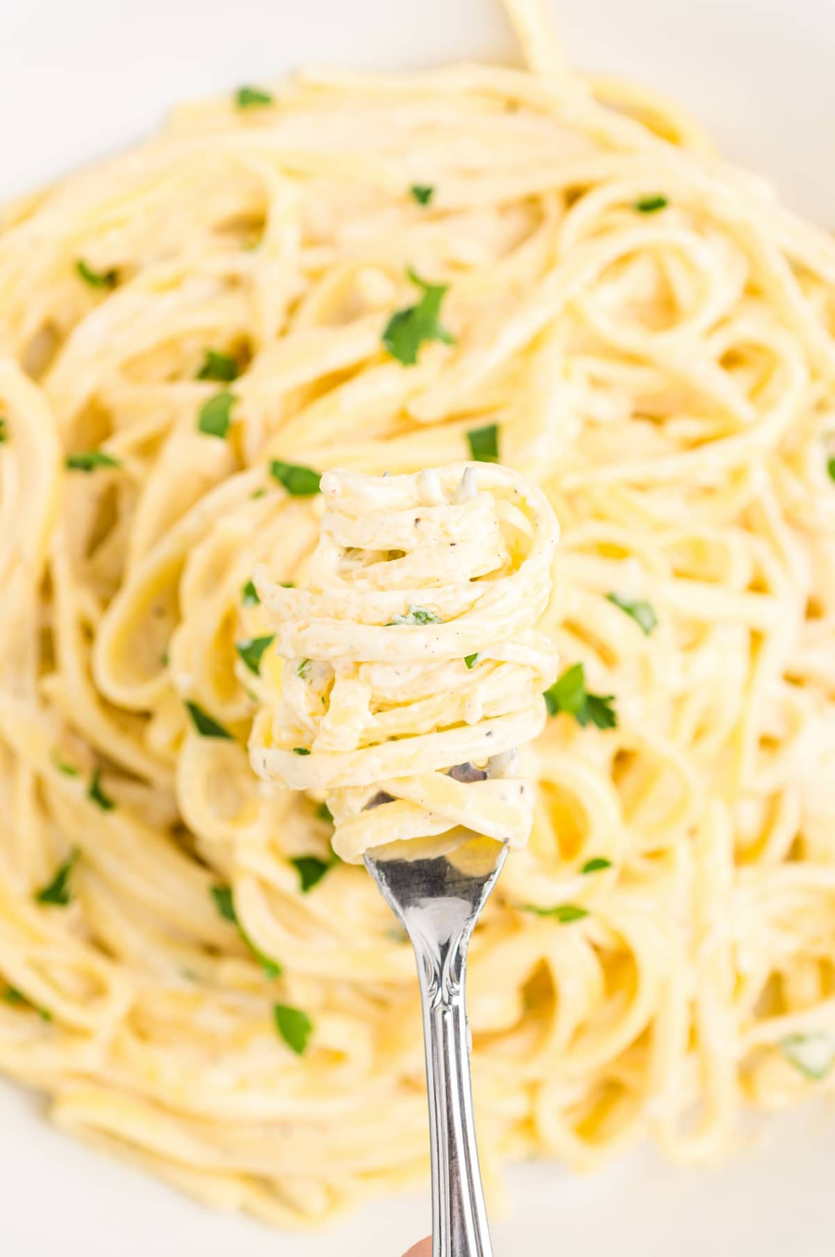 Swirled fettuccine alfredo over pasta. A serving of fettuccine alfredo swirled on a fork over a bowl of pasta.