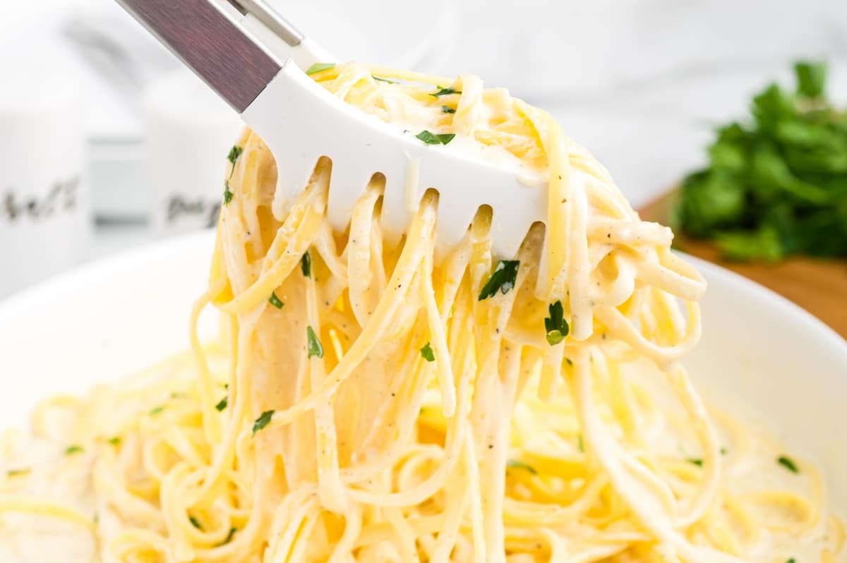 Serving fettuccine alfredo with tongs. Tongs lifting a portion of creamy fettuccine alfredo from a bowl.