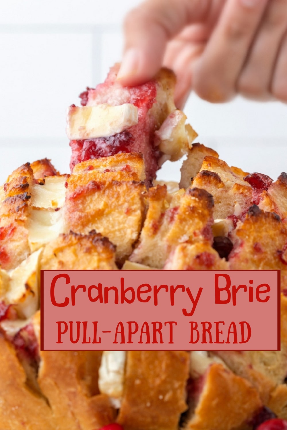 This cranberry Brie pull-apart bread is the perfect combination of simple preparation, impressive presentation, and great flavor. It's ideal for Thanksgiving, Christmas, or any time you want a show-stopping snack. via @cmpollak1