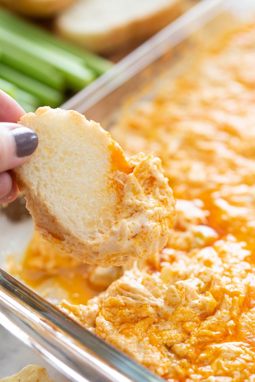 buffalo chicken dip