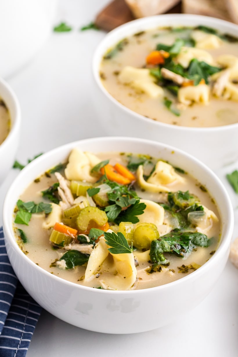 A white bowl of chicken tortellini soup with cheese tortellini, shredded chicken, celery, carrots, spinach, and parsley in a light broth.