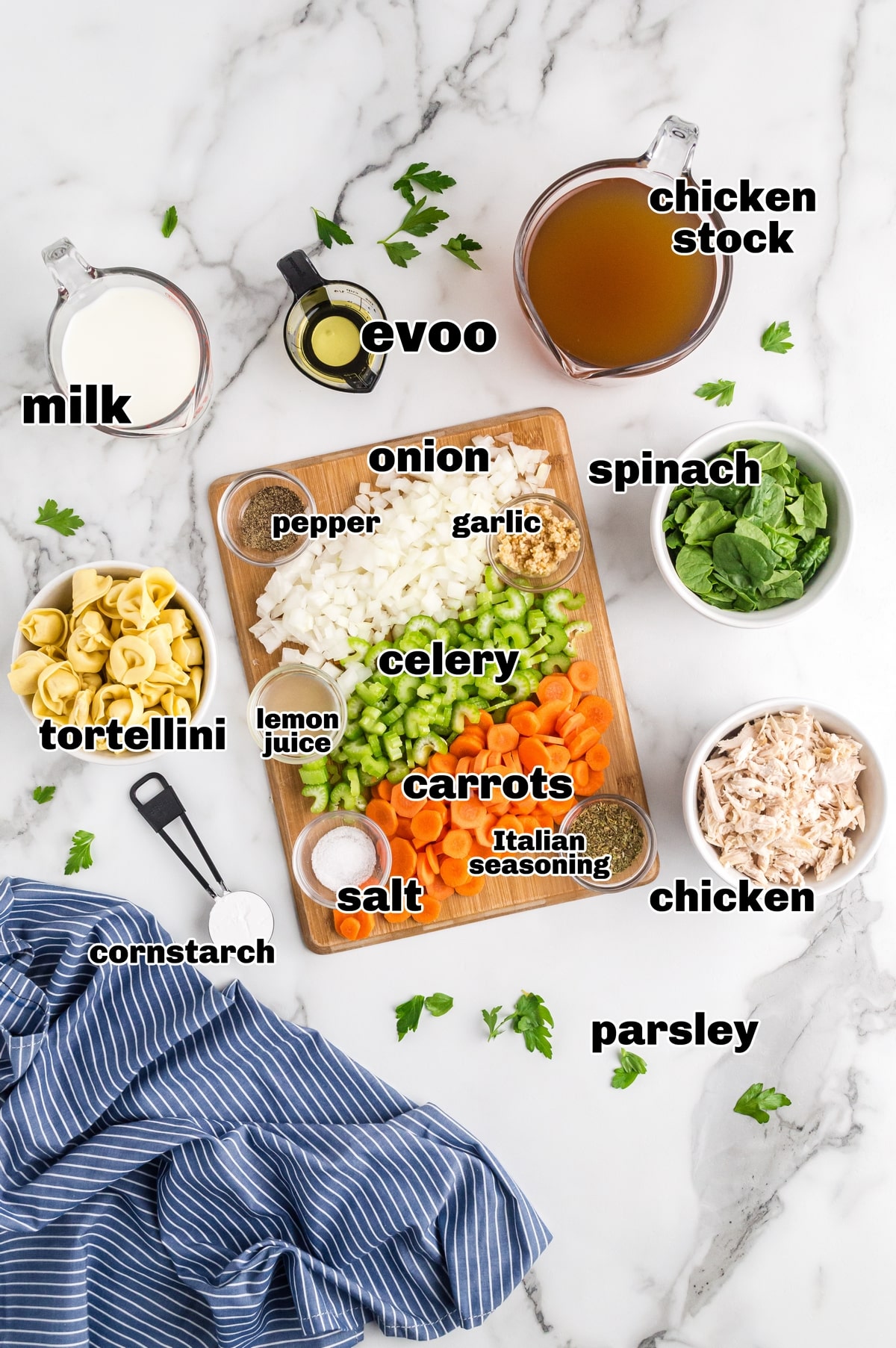 Ingredients for chicken tortellini soup arranged on a white surface, including tortellini, chicken, carrots, celery, onion, spinach, milk, chicken stock, olive oil, and seasonings.