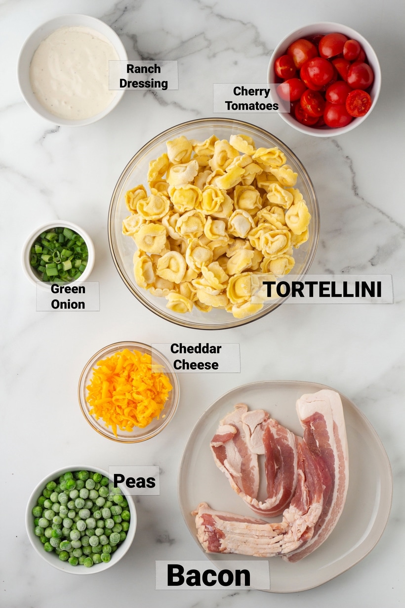 This bacon ranch tortellini salad is my go-to for potlucks and weeknight dinners when I need something quick and tasty. It’s creamy, delicious, and even though it’s a summer classic, I find myself making it all year long. creamy pasta salad