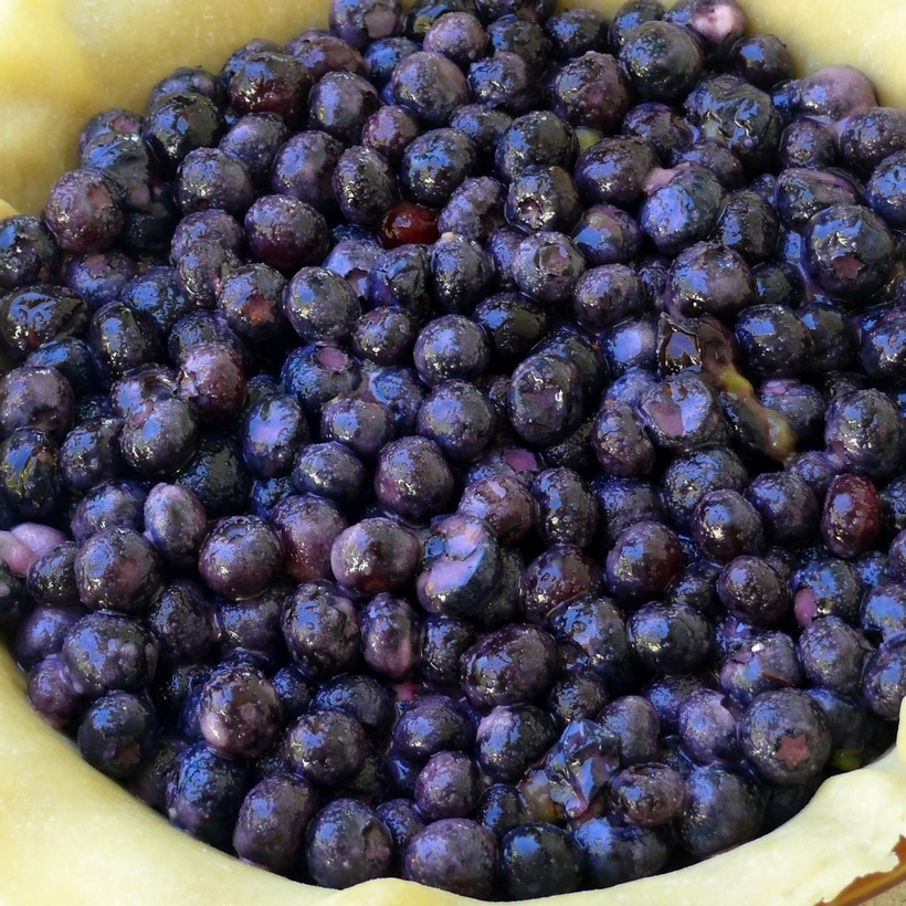 Honestly fresh berries in pie…there is just no comparison along with homemade crust. I adapted this recipe to fit my 9″ deep dish pie plate and it worked out perfectly. blueberry pie