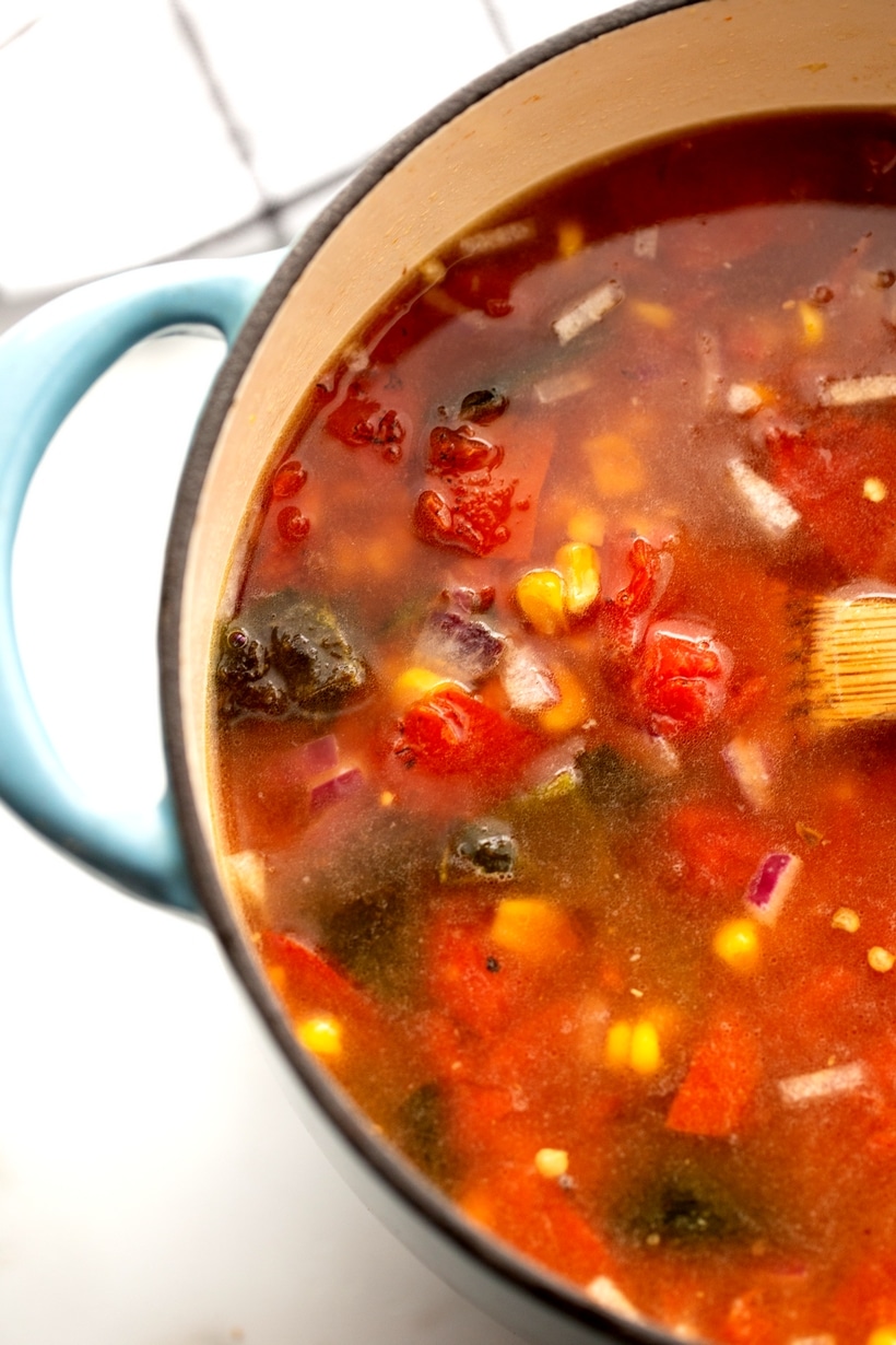 A zesty corn and salsa based tortilla soup that is not only packed with flavor, but can be on the dinner table in under an hour. salsa soup